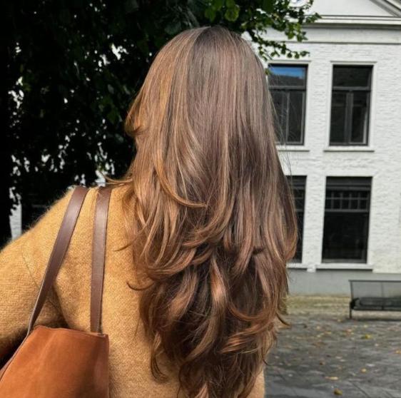 Laagjes kapsel lang haar ideeën voor elke look